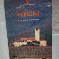 Vitigni in Provincia di Bergamo