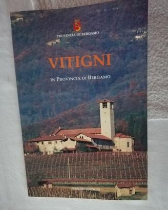Vitigni in Provincia di Bergamo