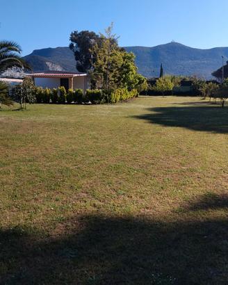 casa con terreno 