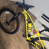 bici scoot  mtb 29