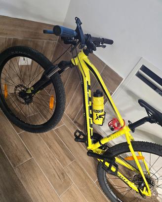 bici scoot  mtb 29
