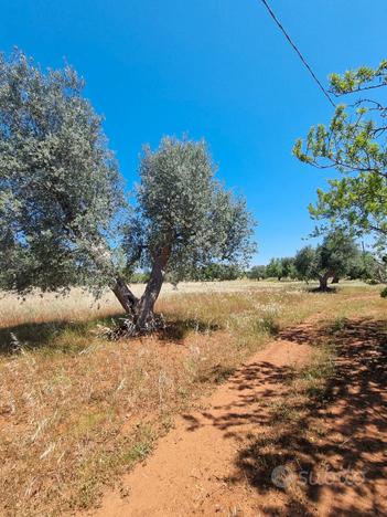 Terreno Agricolo zona Eredità