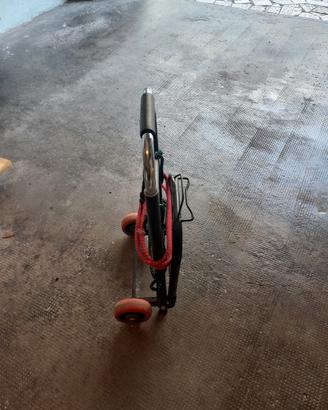 carrello