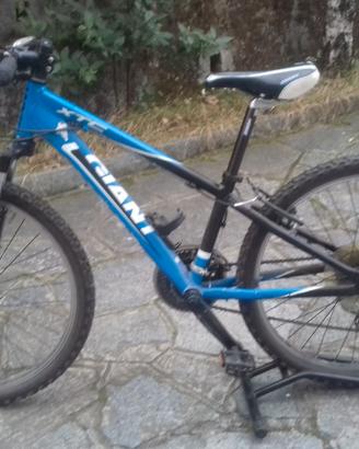 Mtb giant xct in alluminio ruote 24