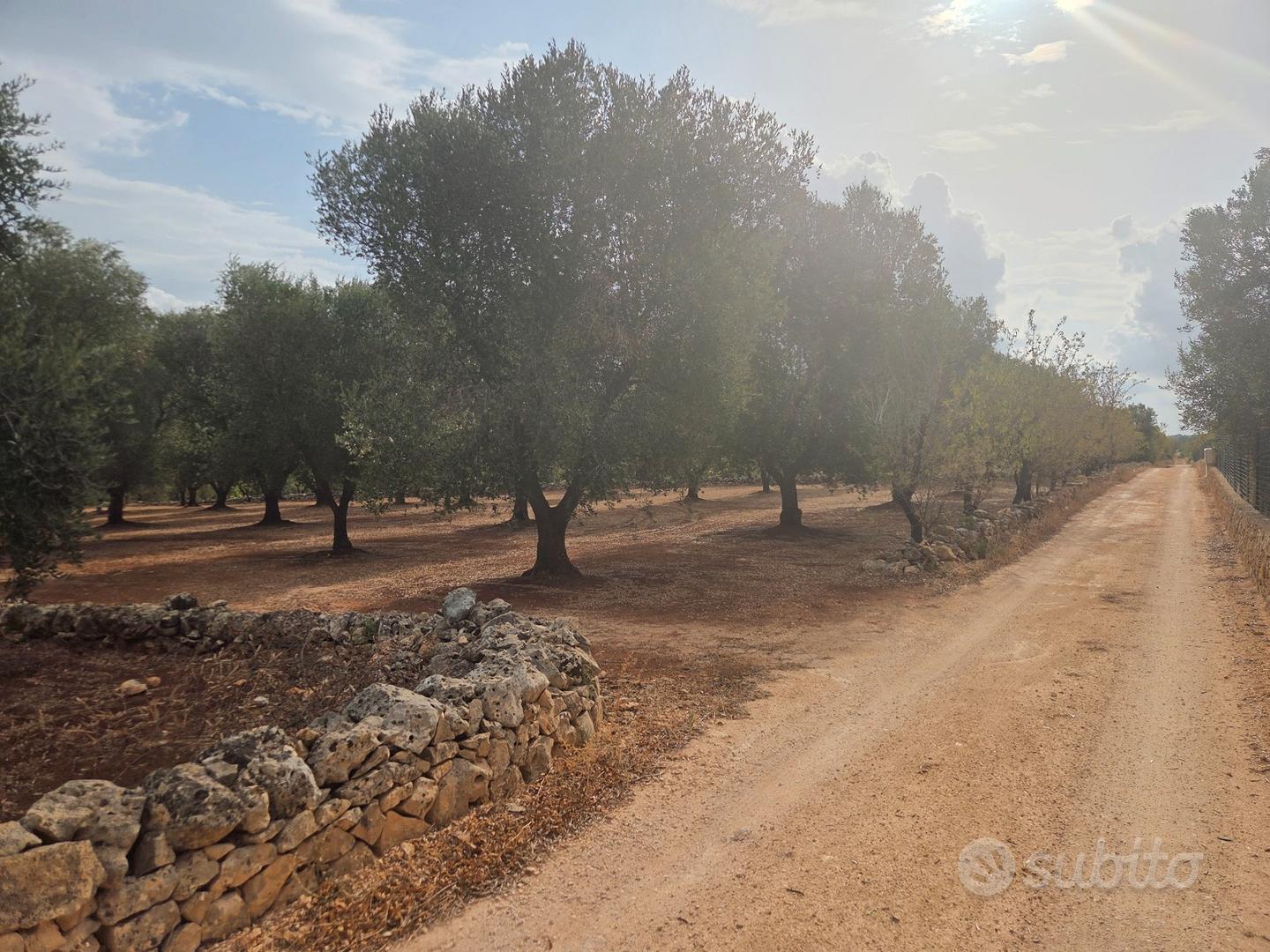 Terreno edificabile con fabbricato a Ostuni - Altro