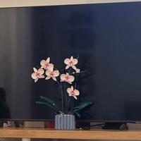 DIFETTOSO TV QLED QE50Q65AAUXZT Q65A 50 SAMSUNG 