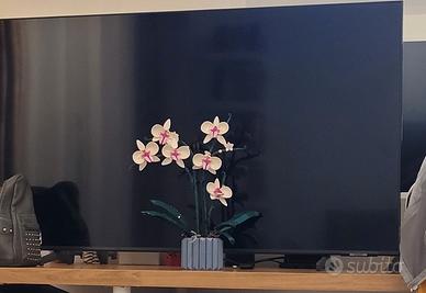 DIFETTOSO TV QLED QE50Q65AAUXZT Q65A 50 SAMSUNG 