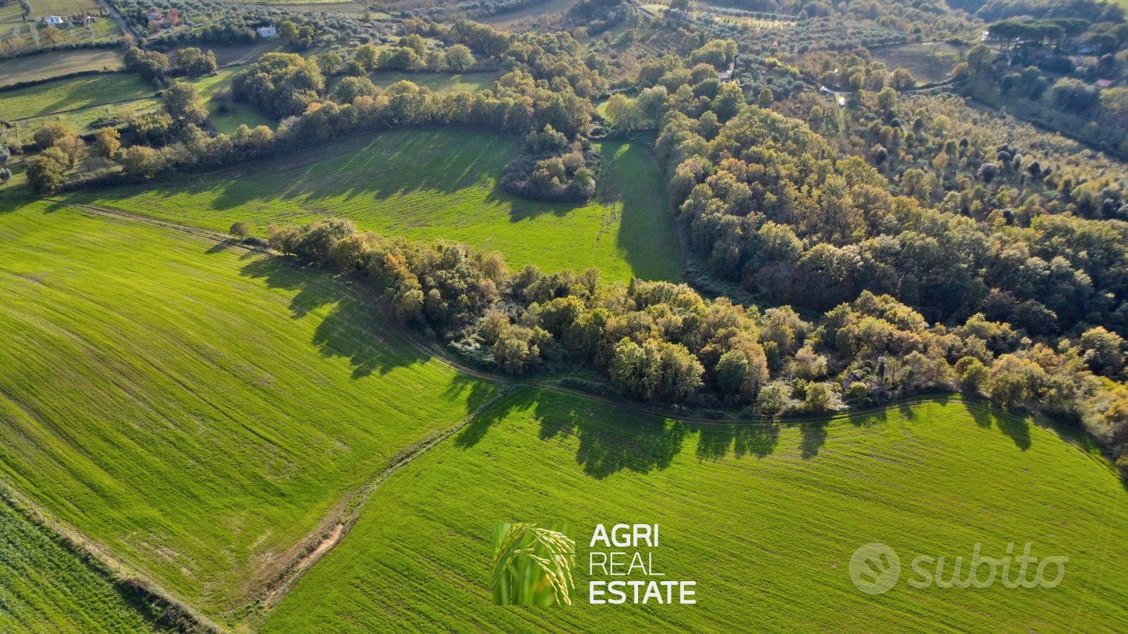 Terreno agricolo 18 ettari con fabbricato diruto - Vista 5