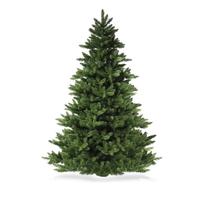 Albero di Natale h150 a Bologna