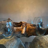 Radice decorativa con 5 vasi in vetro