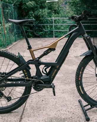 Orbea WILD 2025