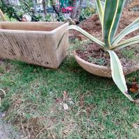 Coppia vasi in cemento 