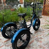 Triciclo Elettrico per adulti a tre ruote. 48 V