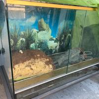 Terrari per serpenti e rettili