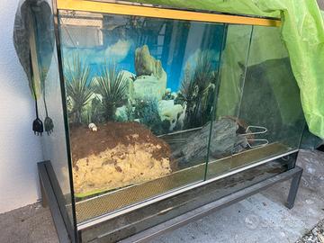 Terrari per serpenti e rettili
