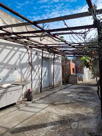 Uliveto + 2 locali + forno in agro Miglionico