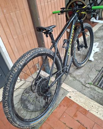 bici specilized 29 epic mtb