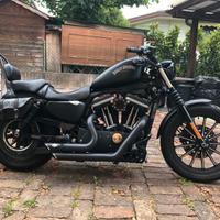 Harley Davidson Sportster 883 Iron