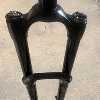 Forcella EXT ERA v2 170 mm