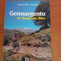 Gennargentu in Mountain Bike