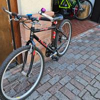 City Bike e Mountain bike entrambe 26" 