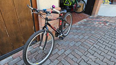 City Bike e Mountain bike entrambe 26" 