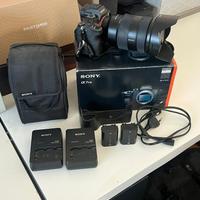 Sony Alpha A7R III + Sony 24-70mm f/2.8 GM