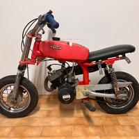 minimoto morini