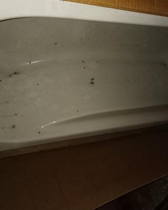 vasca da bagno ideal standar 170x70 con pannelli
