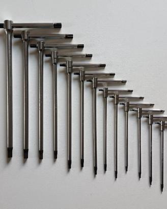 set chiavi torx