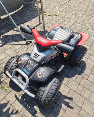Quod peg perego
