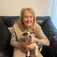 Sostituzione badante 24/h a ssg (mi)