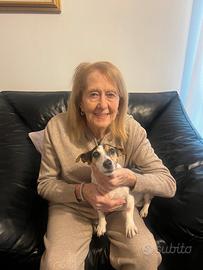 Sostituzione badante 24/h a ssg (mi)