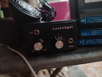 Lock Vogel