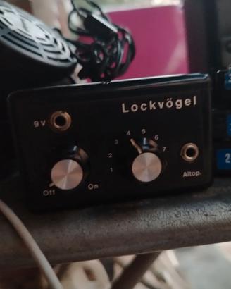Lock Vogel