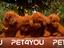 Immagine 13