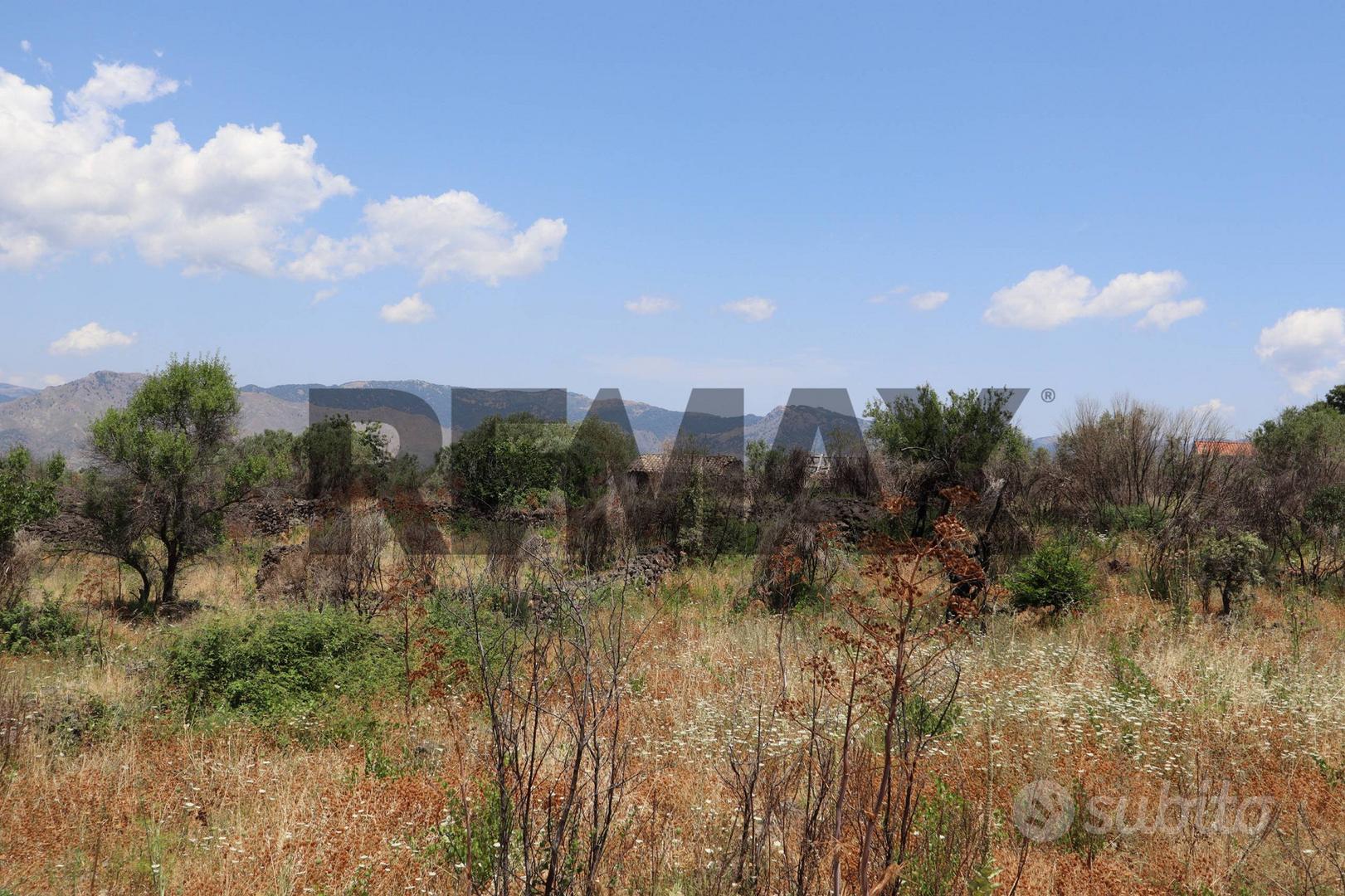 Terreno - Castiglione di Sicilia - Vista 5