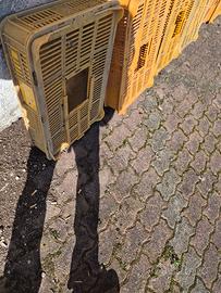 trasportino per quaglie