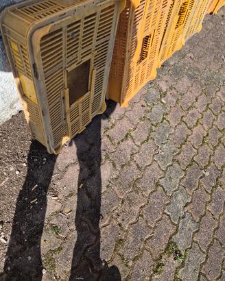 trasportino per quaglie