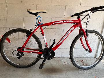 Mountain Bike misura 26”