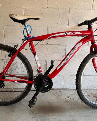 Mountain Bike misura 26”