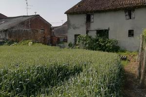 Terreno ad insediamento urbanistico