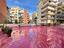 Immagine 19