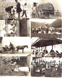 SCHEDE TELEFONICHE "ANTICHI MESTIERI" NUOVA