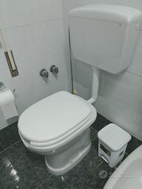 vaso per disabili completo di vaschetta e copriwc
