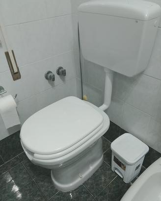 vaso per disabili completo di vaschetta e copriwc