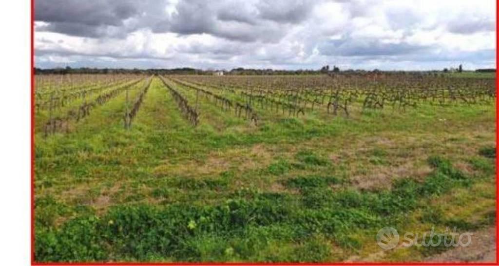 Immobile in asta di 415142 m² a Galatina - Vista 2