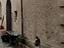 Immagine 11