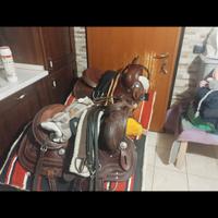 selle da cavallo