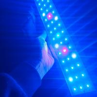 lampada a led per acquario 